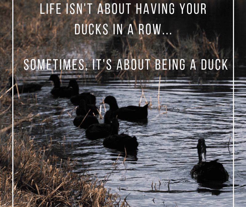 What Ducks Can Teach Us About Overcoming Failure [3 Simple Steps]